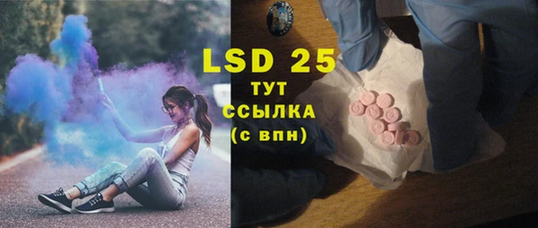 крисы Баксан