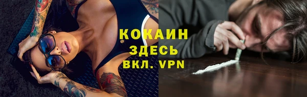 крисы Баксан