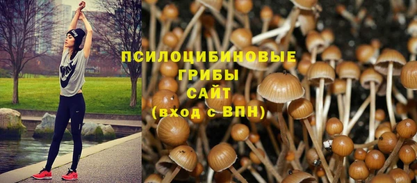 крисы Баксан