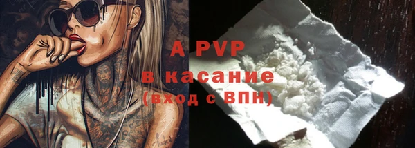 крисы Баксан