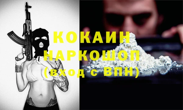 крисы Баксан