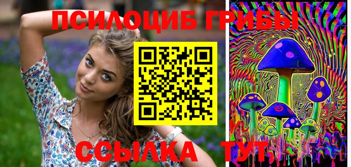 как найти наркотики  Псилоцибиновые грибы прущие грибы  Долгопрудный  Вход с VPN  Псилоцибиновые грибы GOLDEN TEACHER 