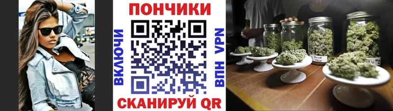 МЕГА маркетплейс Долгопрудный Бошки Шишки Amnesia сайты даркнета как зайти купить закладку
